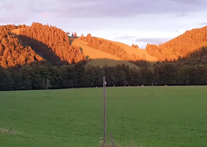 Daire Gschwendtnerhof App25 Schaub Aschau im Chiemgau