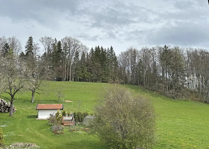 Gschwendtnerhof App25 Schaub Daire Aschau im Chiemgau